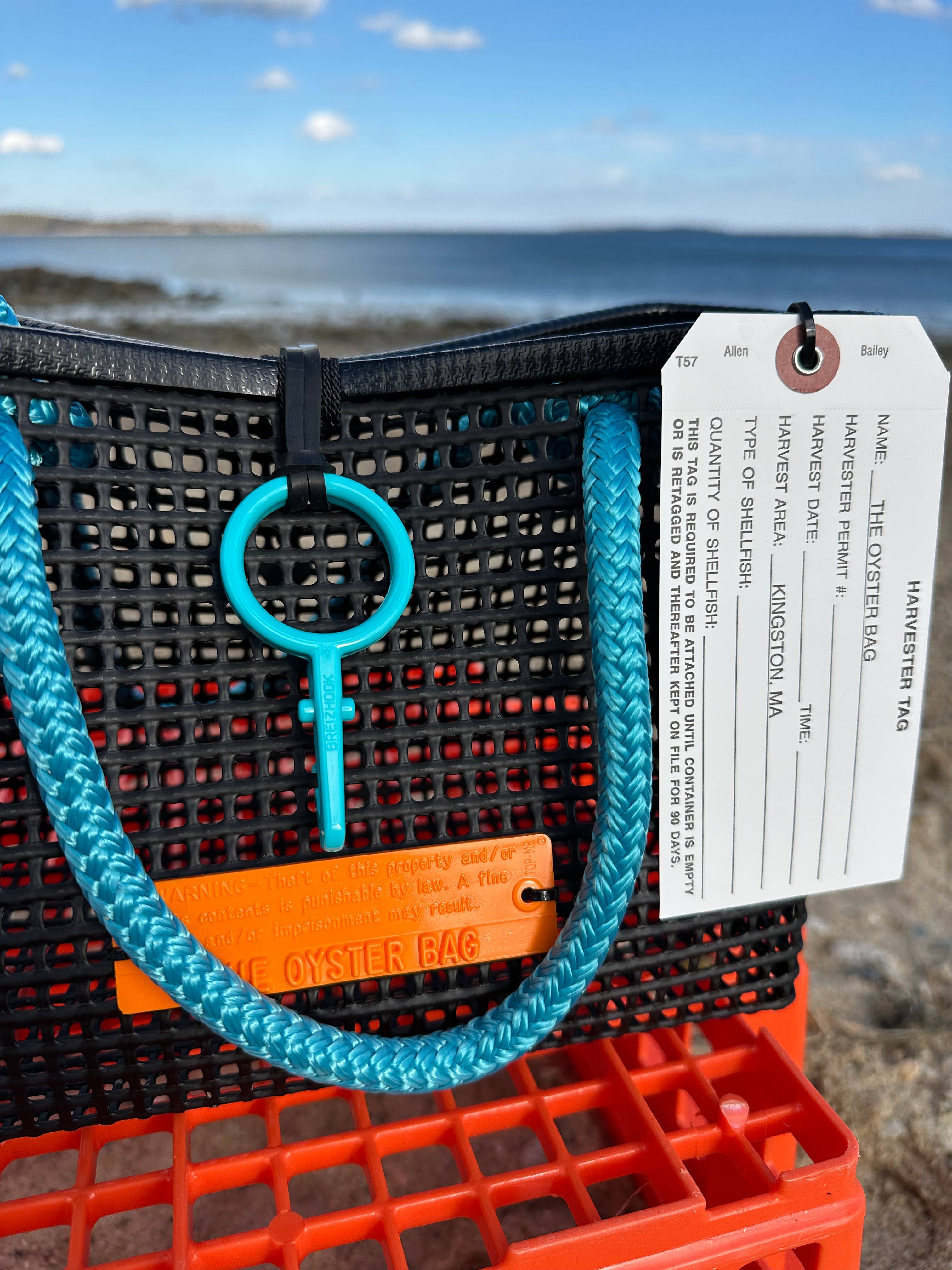 Mini Market Tote Bag ~ Aqua Handle