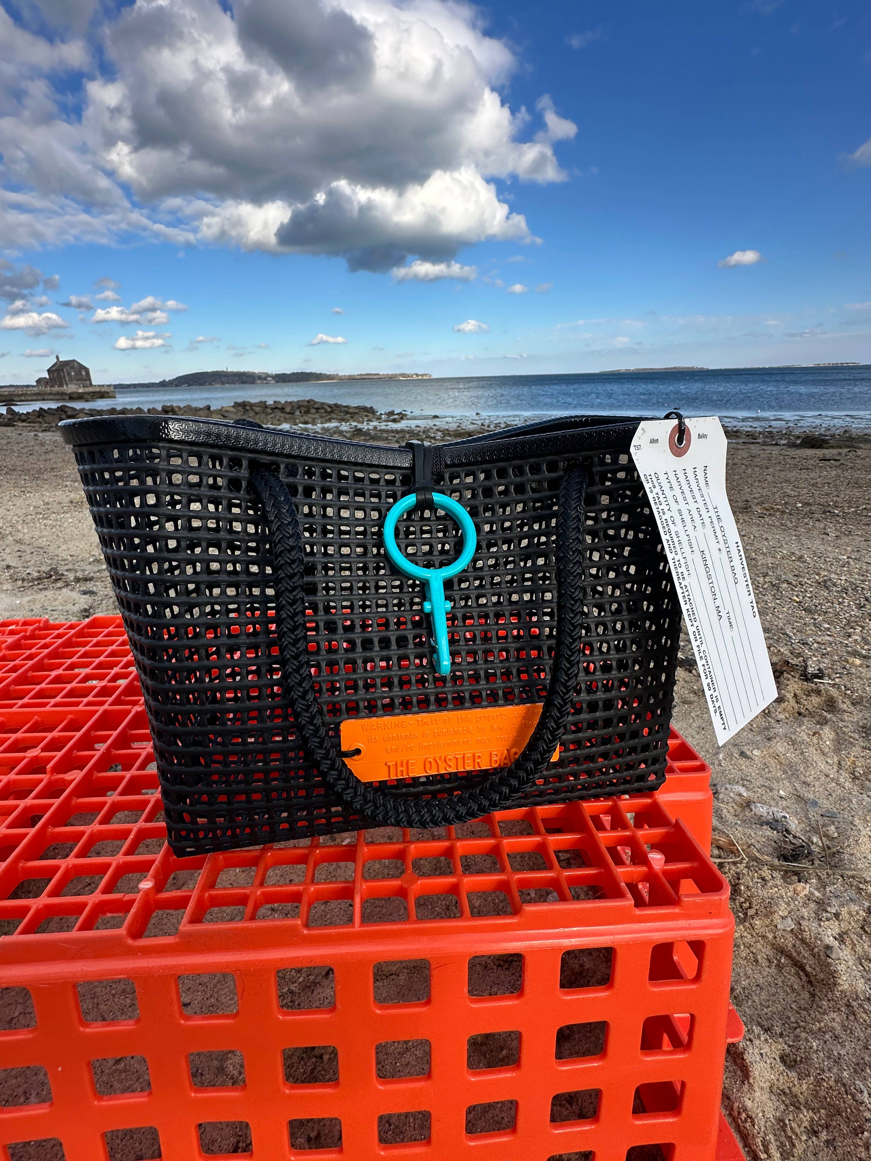 Mini Market Tote Bag ~ Black handle