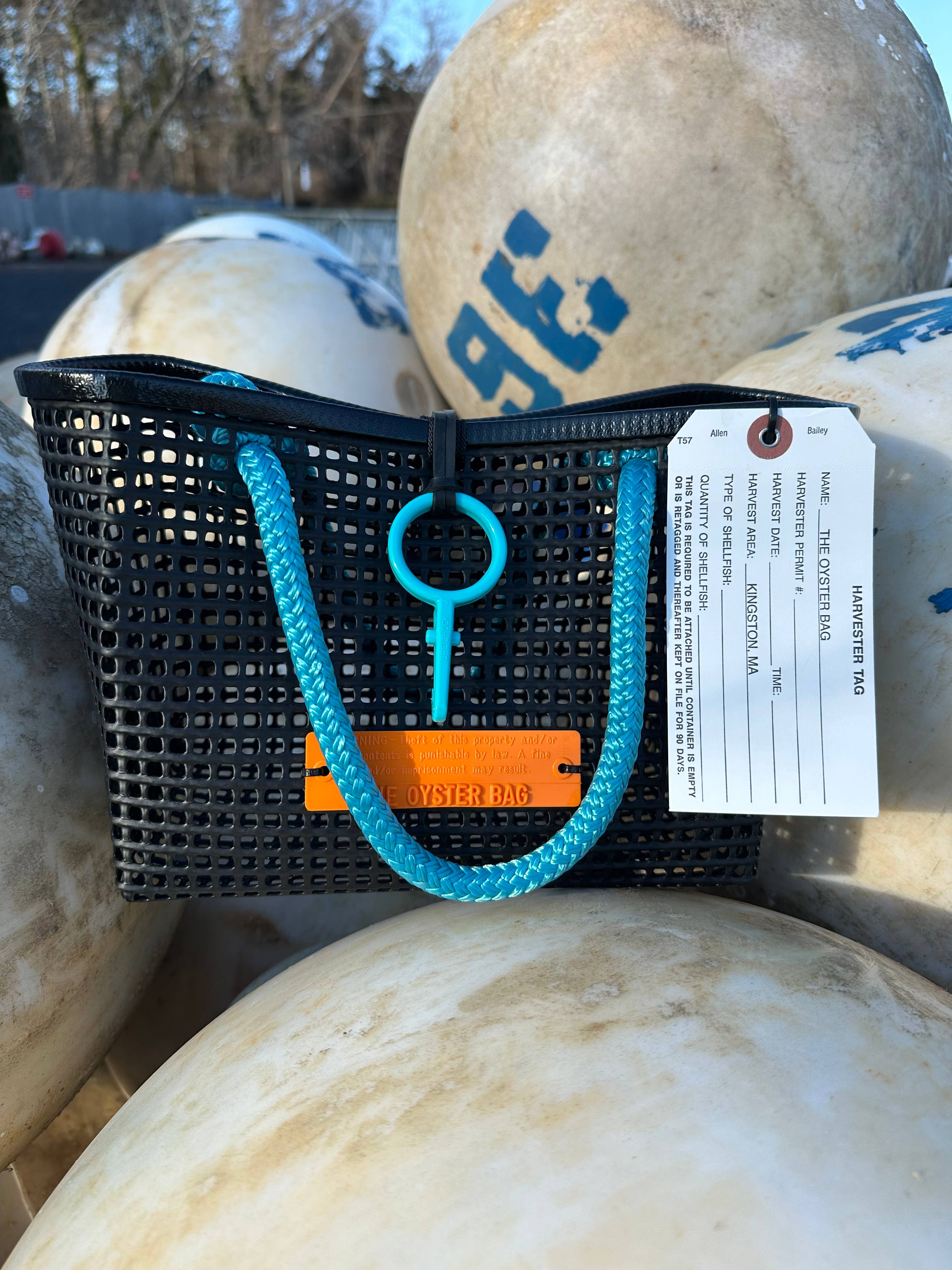 Mini Market Tote Bag ~ Aqua Handle