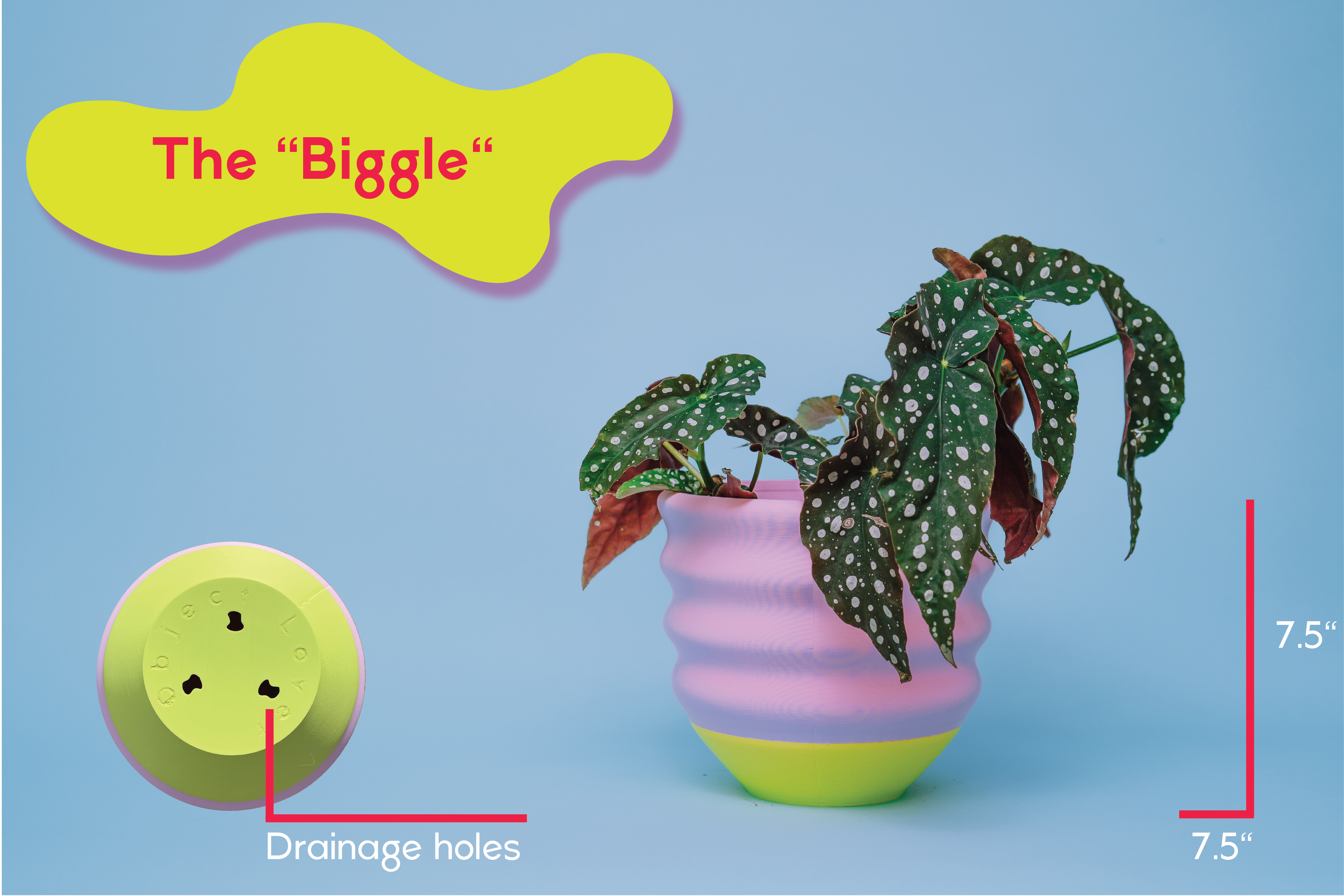 7" Big Wiggle Planter