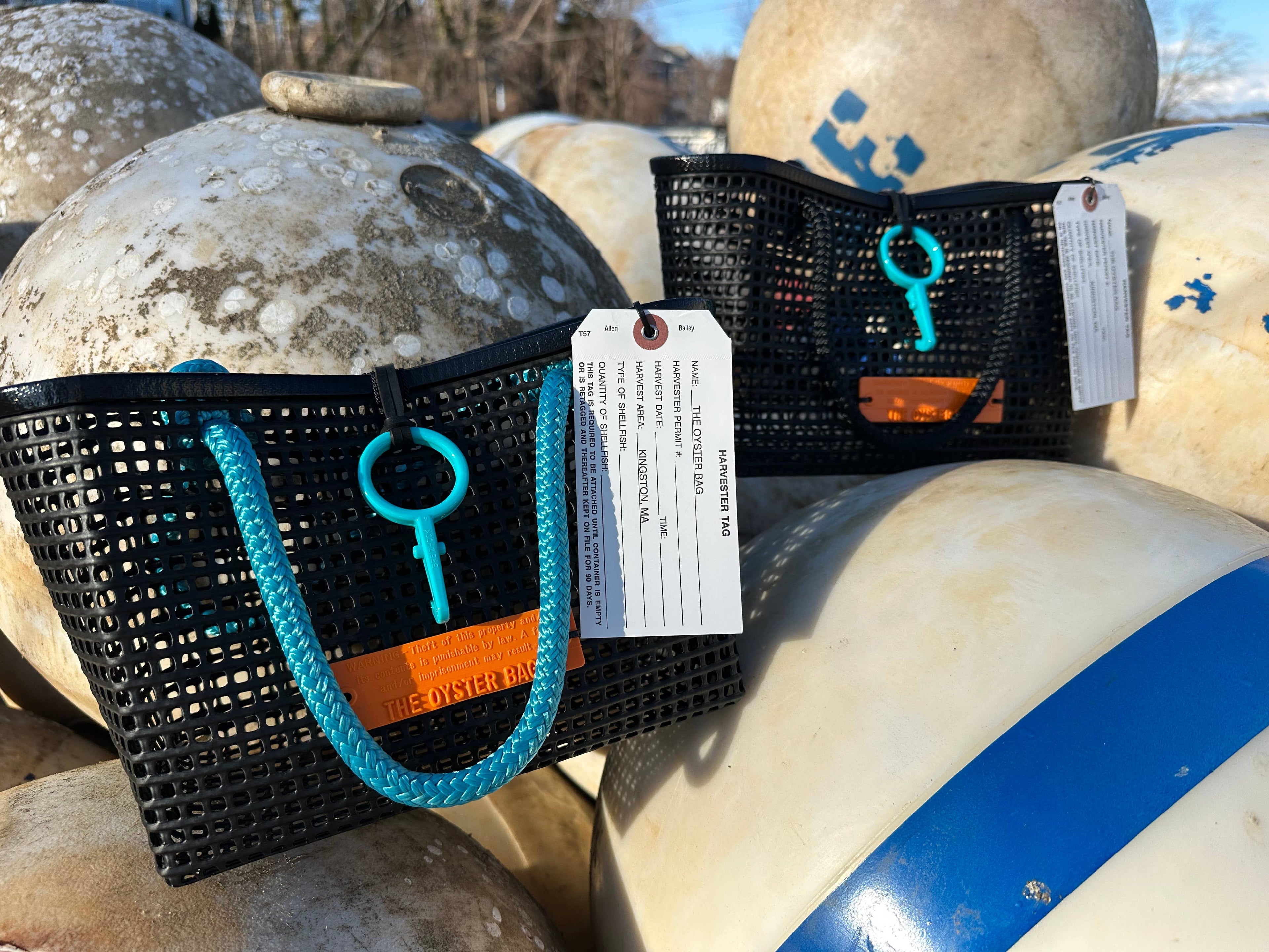 Mini Market Tote Bag ~ Aqua Handle