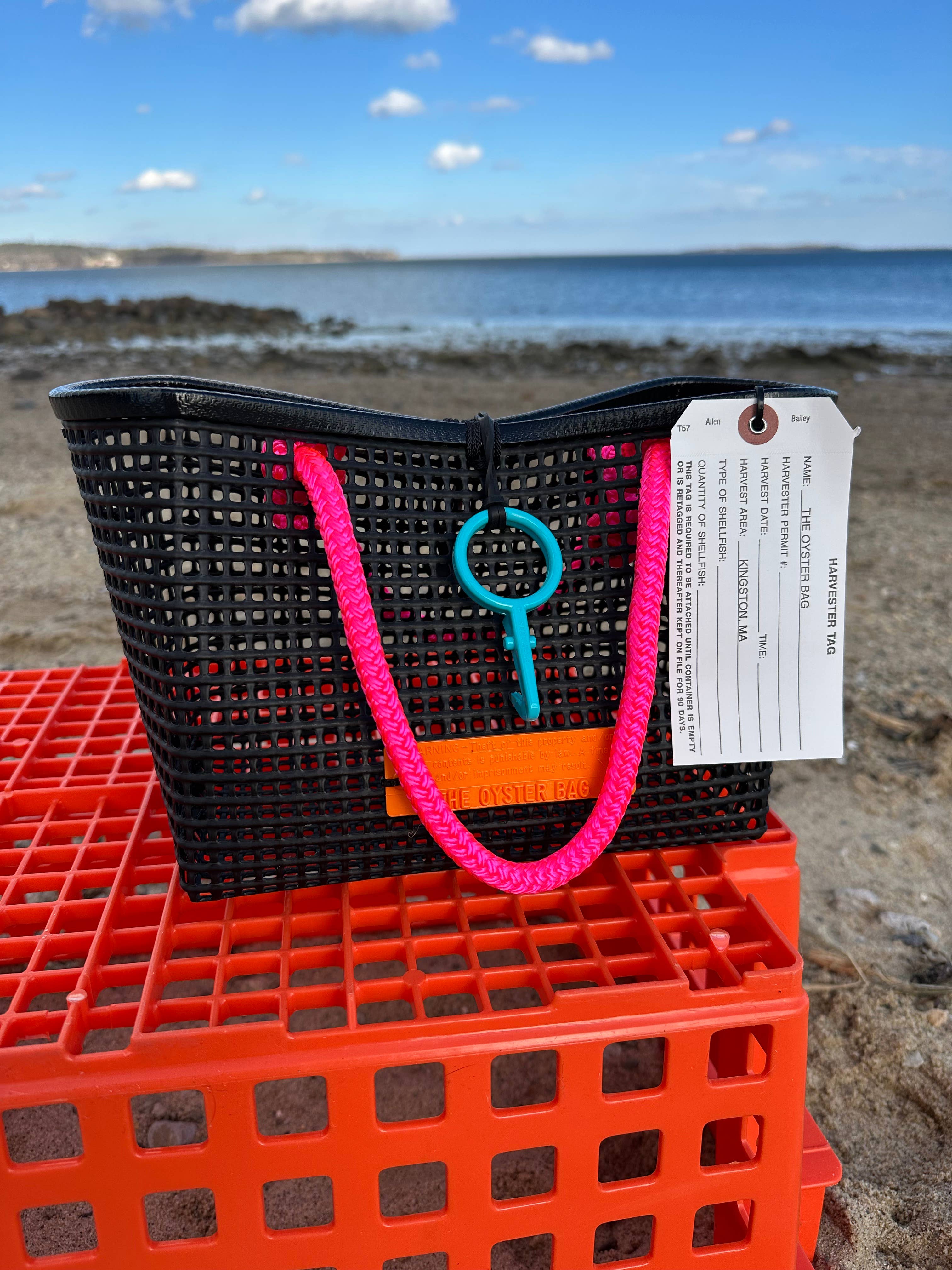 Mini Market Tote Bag ~ Pink Handle