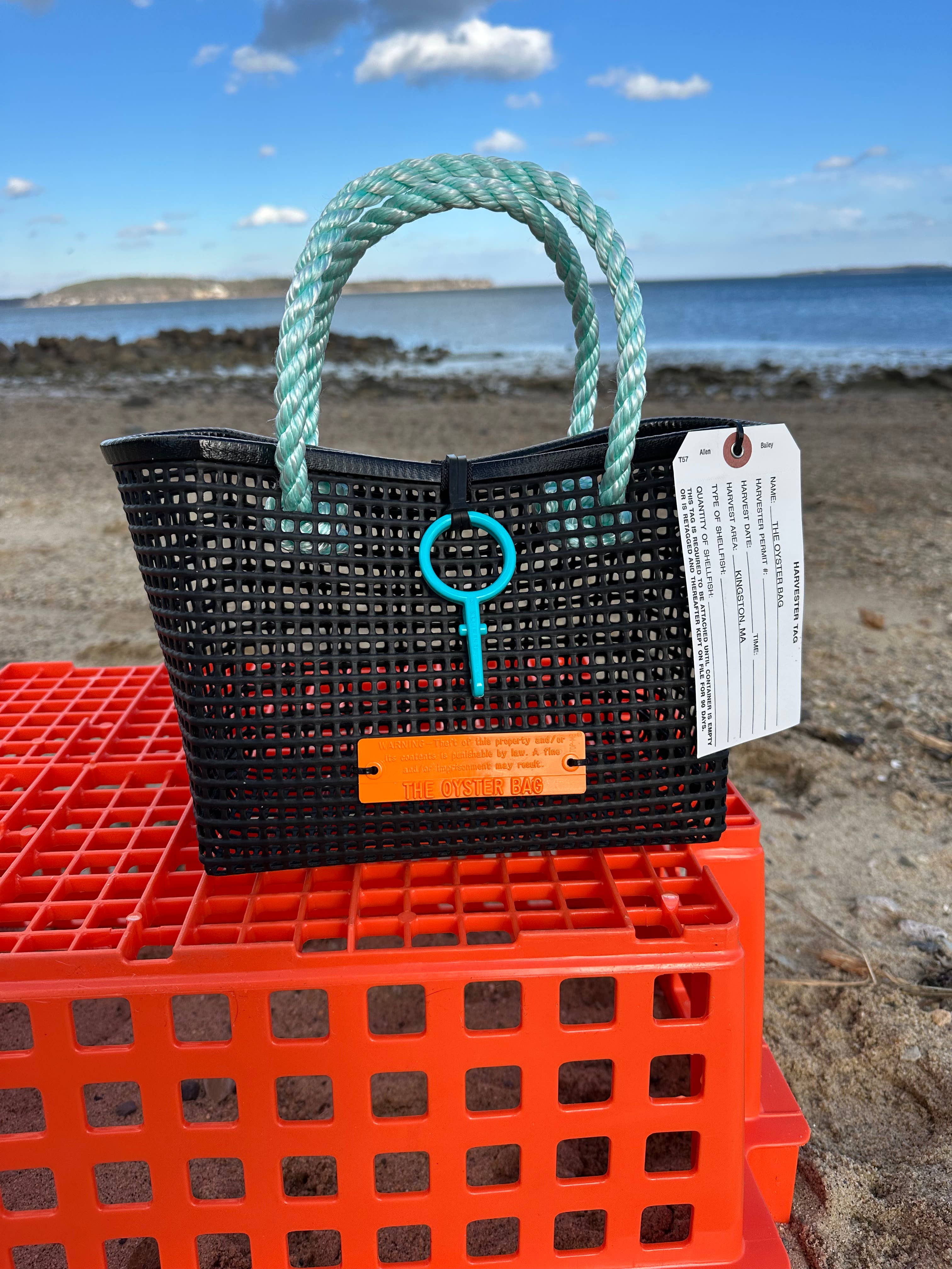 Mini Market Tote Bag ~ utility line aqua