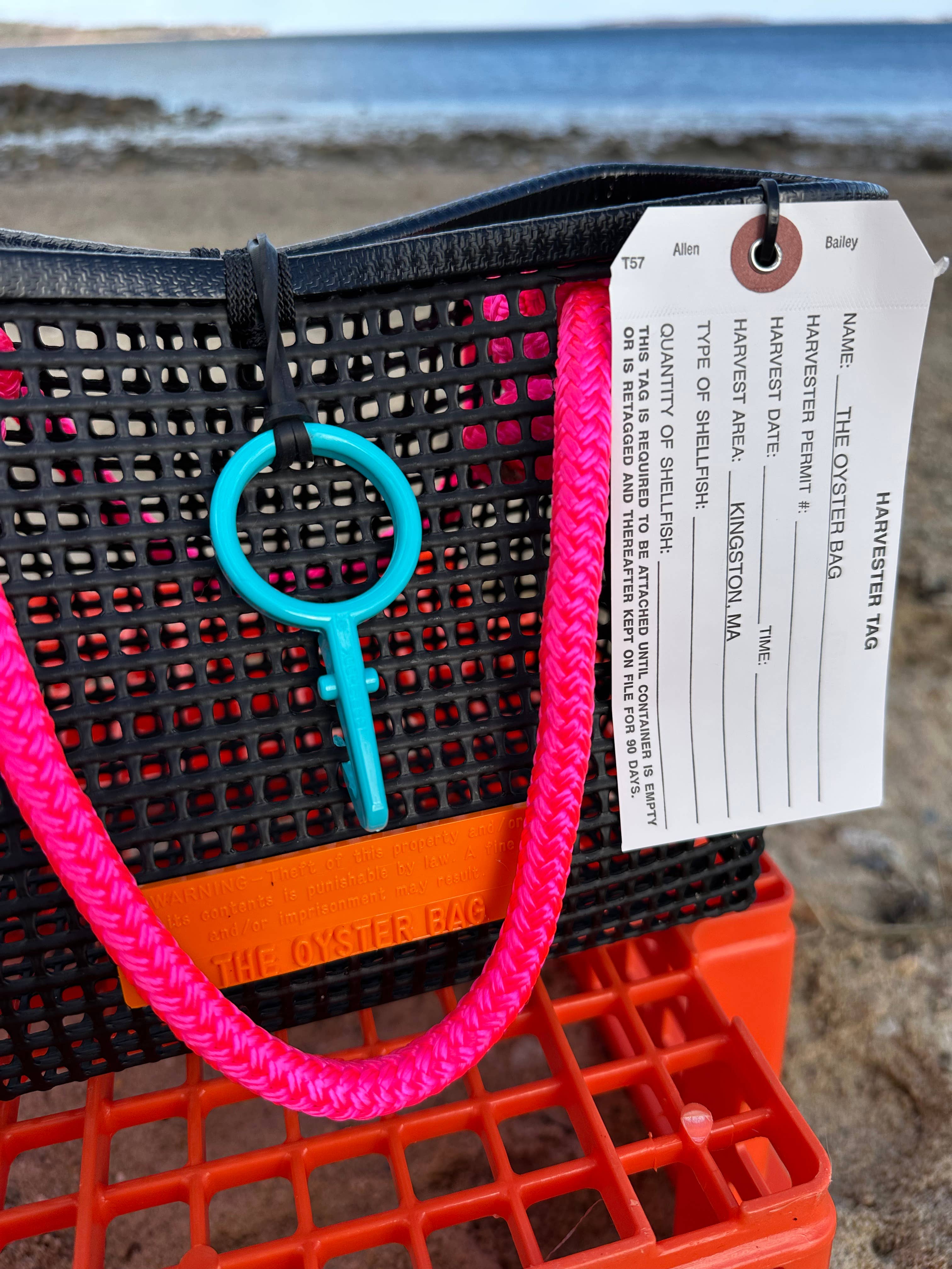 Mini Market Tote Bag ~ Pink Handle
