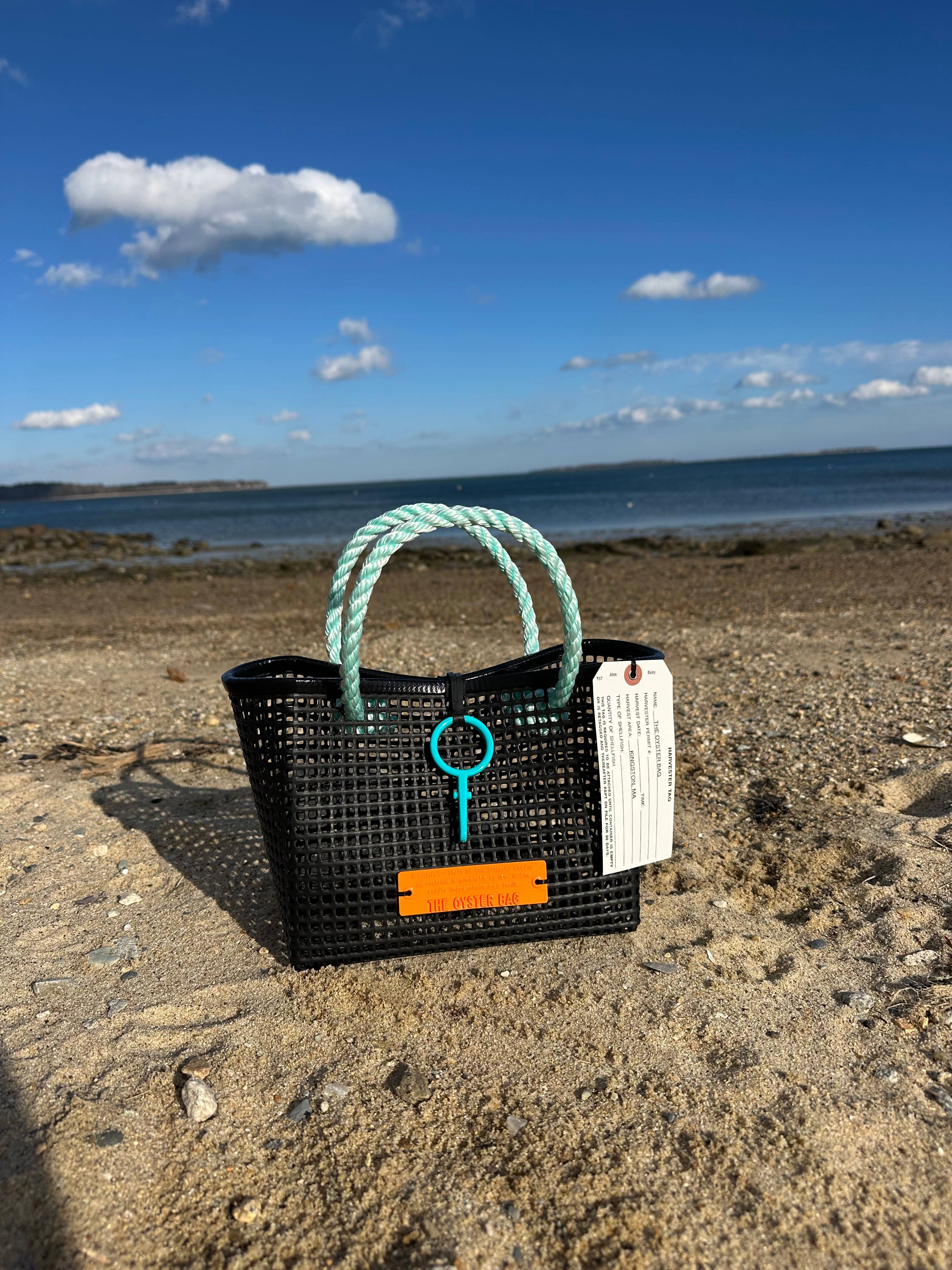 Mini Market Tote Bag ~ utility line aqua