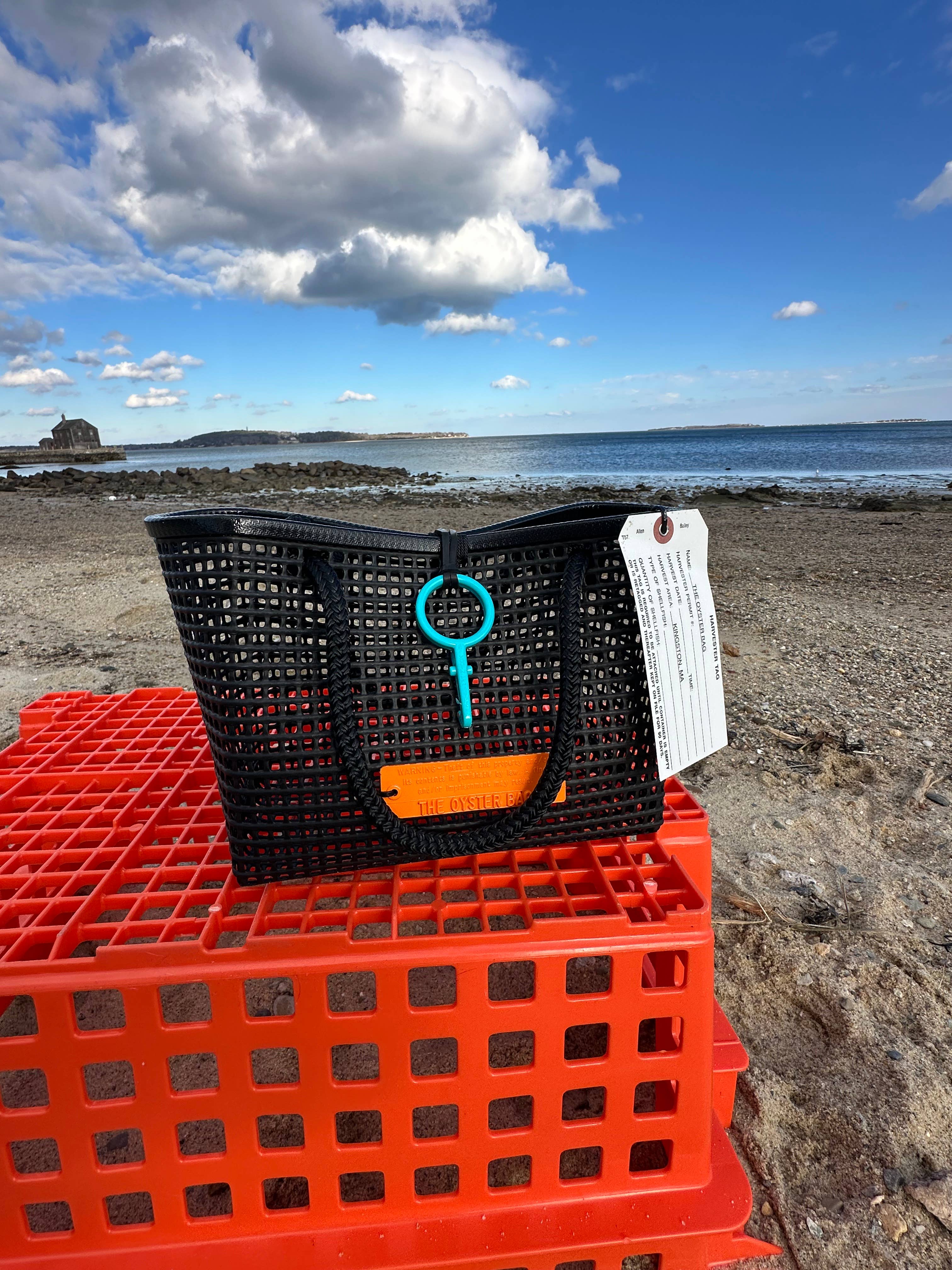 Mini Market Tote Bag ~ Black handle