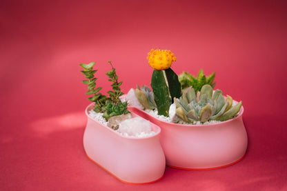The Squiggle Planter For Arrangements
